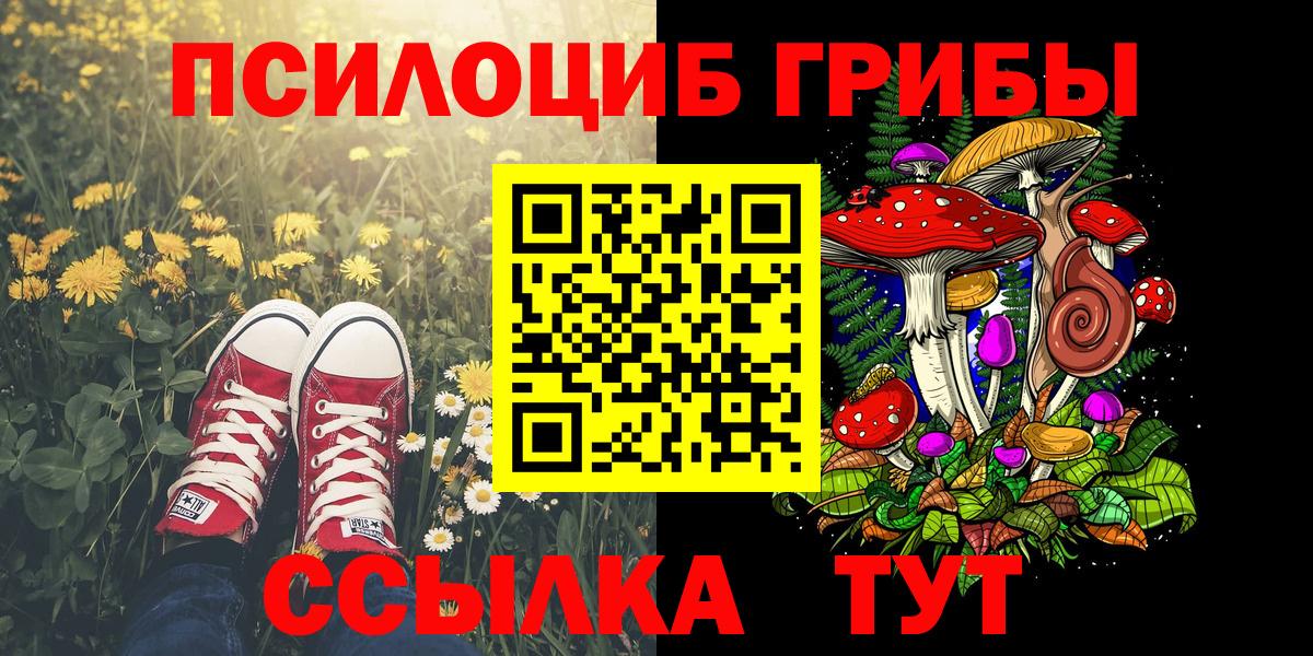 Псилоцибиновые грибы Psilocybe  Псилоцибиновые грибы Magic Shrooms  Щёкино  купить наркотик  Вход с VPN 